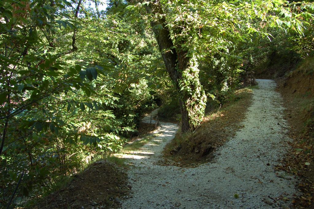 Balletti Park Hotel Viterbo Luaran gambar
